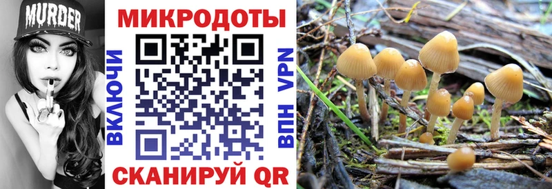 Галлюциногенные грибы Psilocybe  Купить закладки  Кологрив 